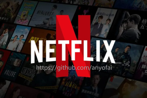 2026 Netflix奈飞合租攻略：安全实惠拼车平台推荐