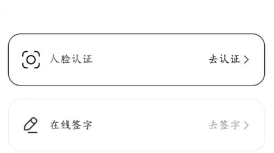 野卡Wildcard和Bingocard哪个更好用？超详细对比评测