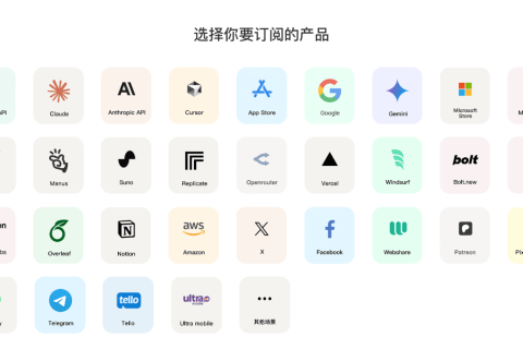 Wildcard教程：轻松解决海外订阅支付问题