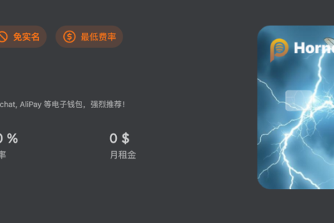 HornetPay虚拟卡支持OpenAI/Claude，免实名