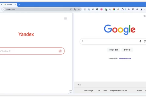 提高效率必备！Chrome 浏览器原生“视图分屏”功能开启教程