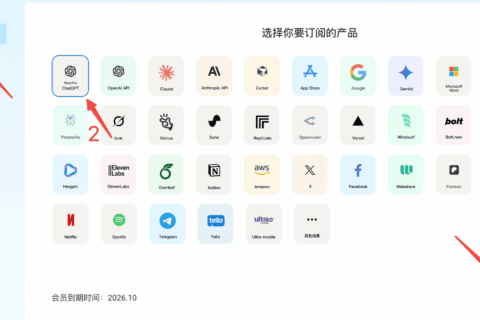 Wildcard野卡邀请码使用攻略：省钱技巧速览